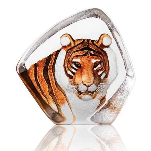 Tiger - Målerås