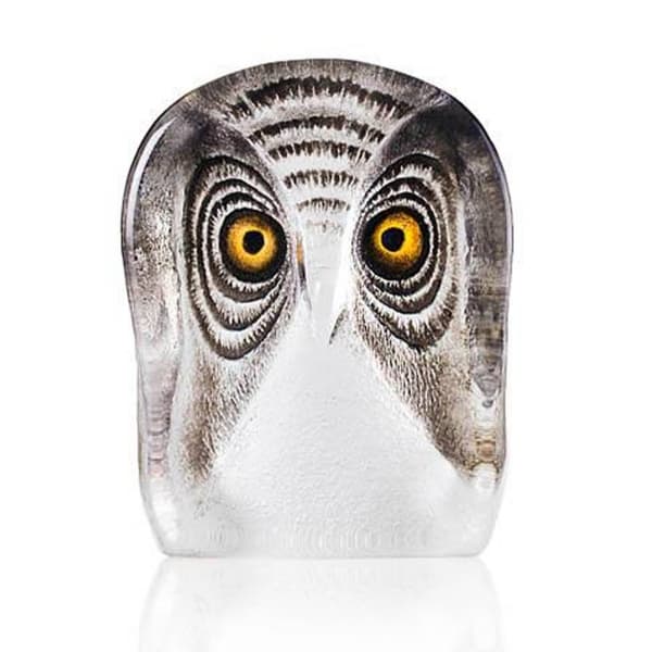 Owl, Small - Målerås