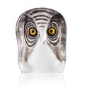 Pikkukuva 1 / 2: Owl, Small - Målerås