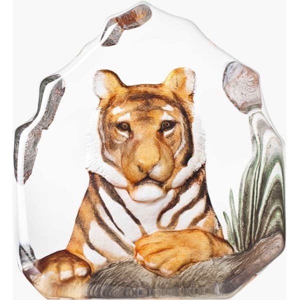 Tiger - Målerås