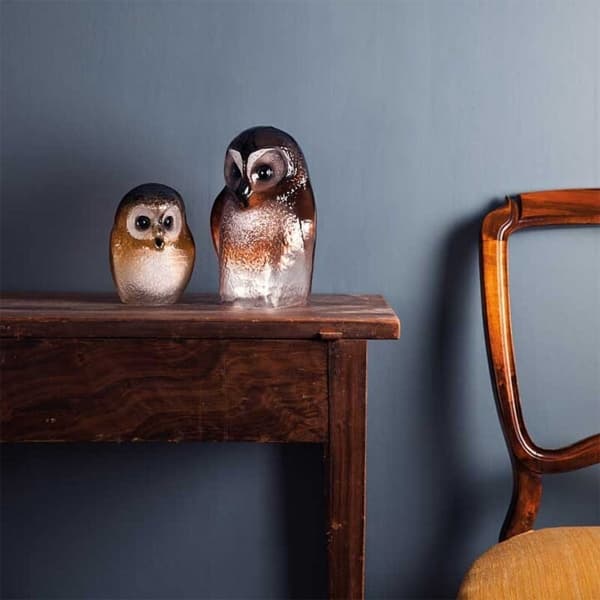 Owlet, Small - Målerås