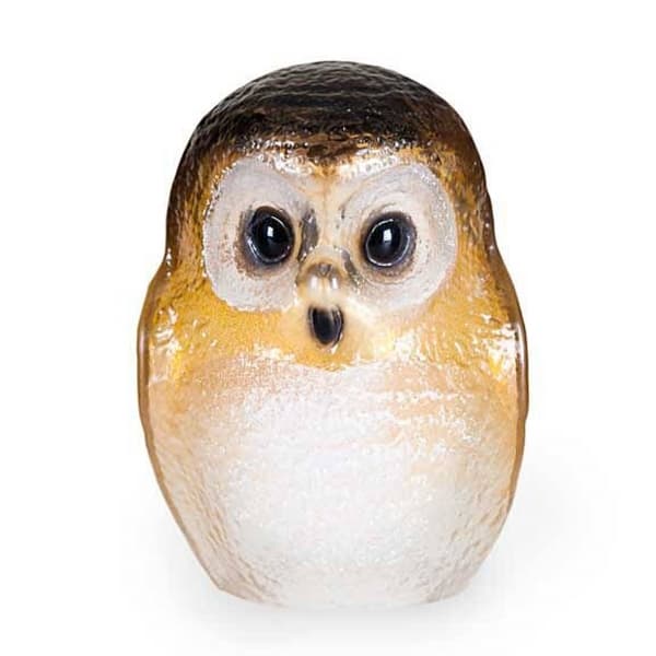 Owlet, Small - Målerås