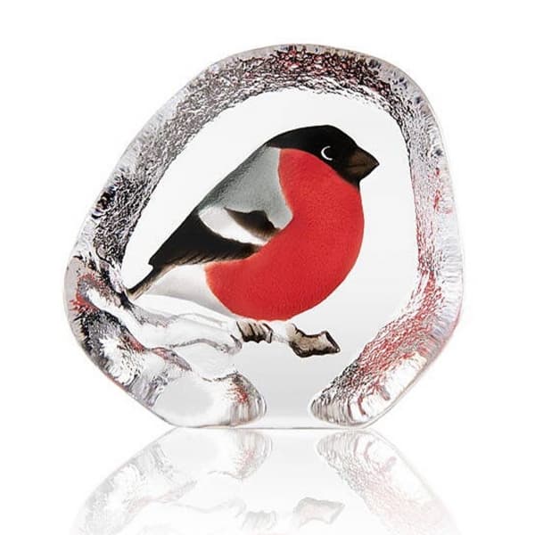 Bullfinch - Målerås