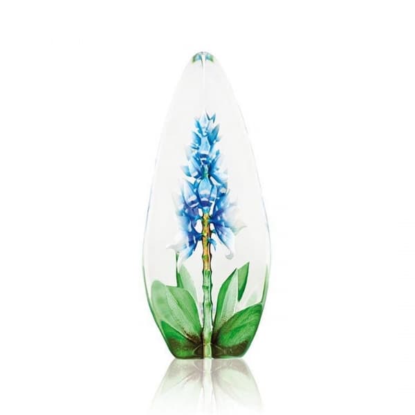 Orchid, Blue - Målerås