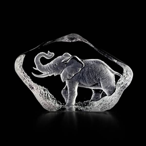 Elephant, Mini - Målerås