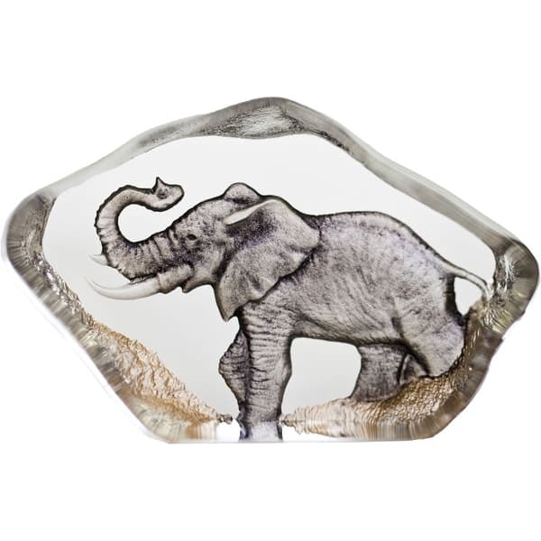 Elefant Mini - Målerås
