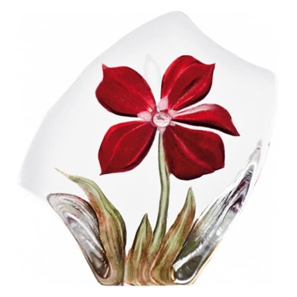 Obia Red, Small - Målerås
