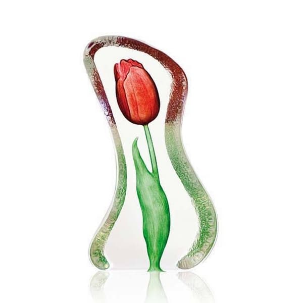 Tulip Red, Small - Målerås