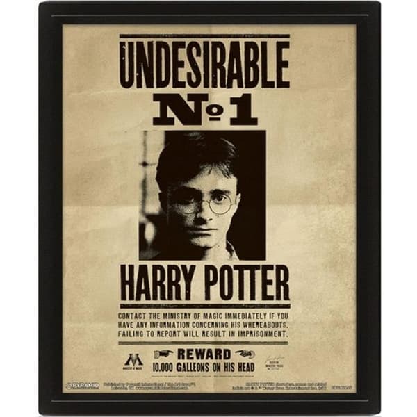Bord - Harry Potter - 3D animerad effekt - Svart - 29x24x4 cm - Väggdekoration
