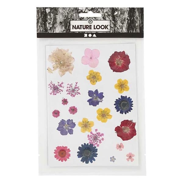 Torkade och pressade blommor - Flerfärgad - 22 st - Inredning - DIY - Dagens stil