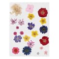 Miniatyrbild 1 av 2: Torkade och pressade blommor - Flerfärgad - 22 st - Inredning - DIY - Dagens stil