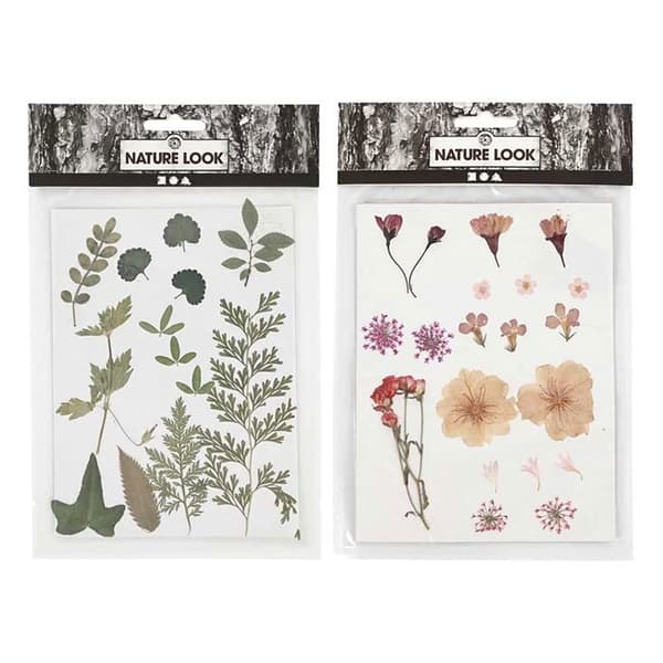 40 torkade blommor och blad - rosa &amp; grönt