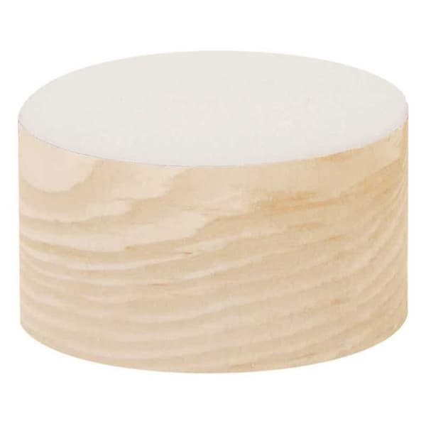 Mousse Florale - RICO DESIGN - Rund - 7,5 x 4 cm - Vit - Inomhus