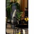 Pikkukuva 4 / 4: Koristekasvi DKD Home Decor PVC polypropeeni 25 x 25 x 30 cm