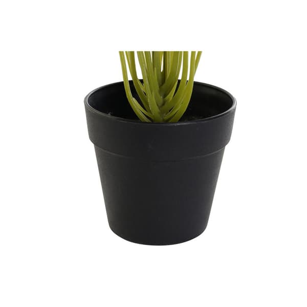 Dekorativ plante DKD Home Decor PVC polypropylen 25 x 25 x 30 cm