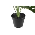Miniatyrbillede 3 af 3: Dekorativ plante DKD Home Decor Monstera Grøn PP PE (48 x 42 x 51 cm)