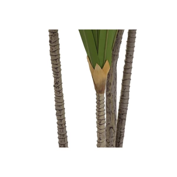 Dekorativ plante DKD Home Decor (80 x 80 x 180 cm)