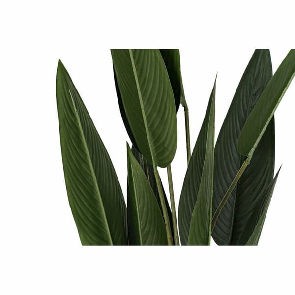 Dekorativ växt DKD Home Decor 40 x 40 x 115 cm Polyetylen Grön Paradisets Fågel Urban