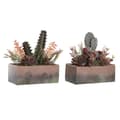 Pikkukuva 1 / 3: Koristekasvi DKD Home Decor 19 x 9 x 22 cm Pinkki Oranssi Kaktus Eva-kumi polypropeeni (2 osaa)