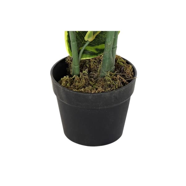 Dekorativ växt DKD Home Decor Polyetylen Grön 40 x 40 x 120 cm Urban