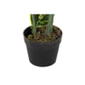 Miniatyrbillede 2 af 3: Dekorativ plante DKD Home Decor Polyetylen Grøn 40 x 40 x 120 cm Urban