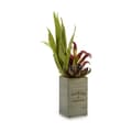 Miniatyrbillede 3 af 3: Dekorativ plante Ibergarden Flowers Garden 10 x 50 x 10 cm Brun Grøn (4 enheder)