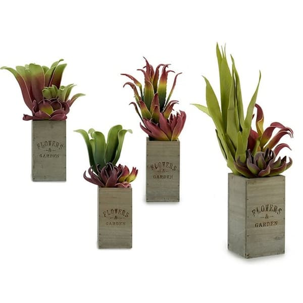 Dekorativ plante Ibergarden Flowers Garden 10 x 50 x 10 cm Brun Grøn (4 enheder)