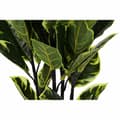 Miniatyrbillede 3 af 3: Dekorativ plante DKD Home Decor Polyetylen Urban 40 x 40 x 90 cm