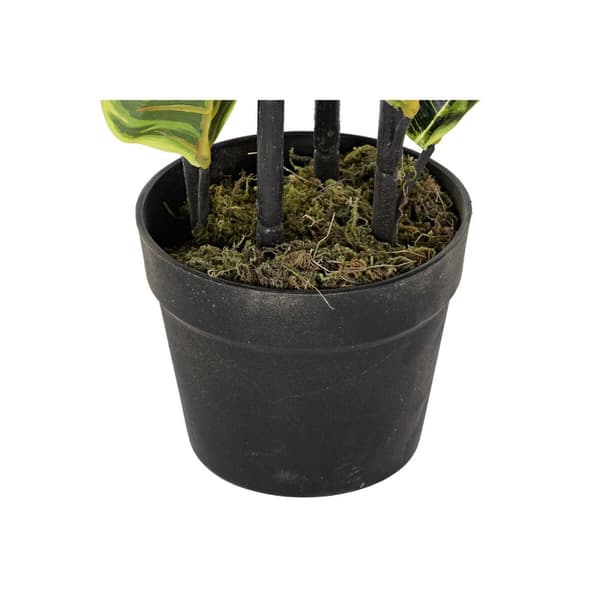 Dekorativ plante DKD Home Decor Polyetylen Urban 40 x 40 x 90 cm