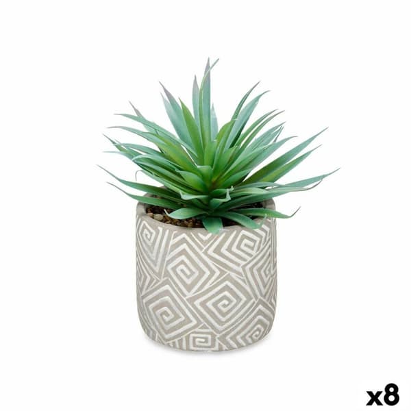 Dekorativ växt Ibergarden QY-H012 Trä Plast Cement Suckulent 17 x 21 x 17 cm (8 antal)