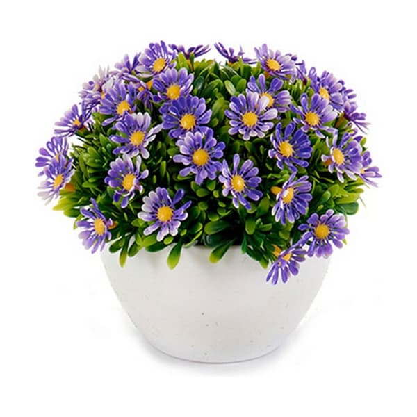 Dekorativ plante Ibergarden S17-L048 Plastik Margarita 14 x 13 x 14 cm (12 enheder)