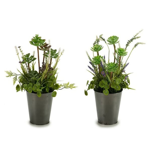 Dekorativ plante Ibergarden XD16-819 Kork Plastik Blomstereng 20 x 41 x 20 cm (6 enheder)