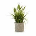 Miniatyrbillede 3 af 3: Dekorativ plante Ibergarden XD171059 Plastik Øre (af hvede) 12 x 30 x 12 cm (8 enheder)
