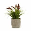 Miniatyrbillede 2 af 3: Dekorativ plante Ibergarden XD171059 Plastik Øre (af hvede) 12 x 30 x 12 cm (8 enheder)