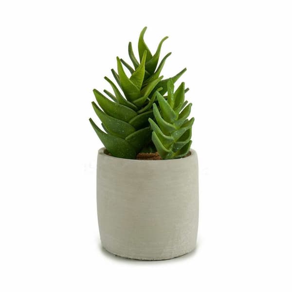 Dekorativ plante Ibergarden YCX17941 Plastik Sukkulent 12 x 24 x 12 cm (6 enheder)