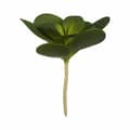 Miniatyrbillede 2 af 2: Dekorativ plante Ibergarden YD180205 Plastik Ark Cirkulær 18 x 23 x 18 cm (6 enheder)