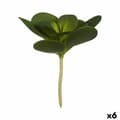 Miniatyrbillede 1 af 2: Dekorativ plante Ibergarden YD180205 Plastik Ark Cirkulær 18 x 23 x 18 cm (6 enheder)