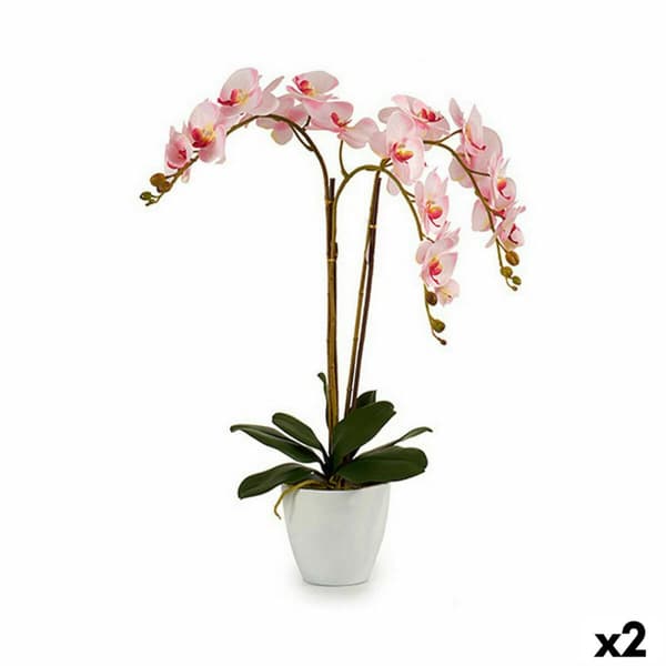 Koristekasvi Ibergarden A18124-71-3WH Muovinen Orkidea 40 x 77 x 35 cm (2 osaa)
