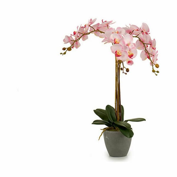 Koristekasvi Ibergarden A18124-71-3 Muovinen Orkidea 29 x 78 x 35 cm 60 x 78 x 44 cm (2 osaa)