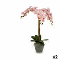 Pikkukuva 1 / 2: Koristekasvi Ibergarden A18124-71-3 Muovinen Orkidea 29 x 78 x 35 cm 60 x 78 x 44 cm (2 osaa)