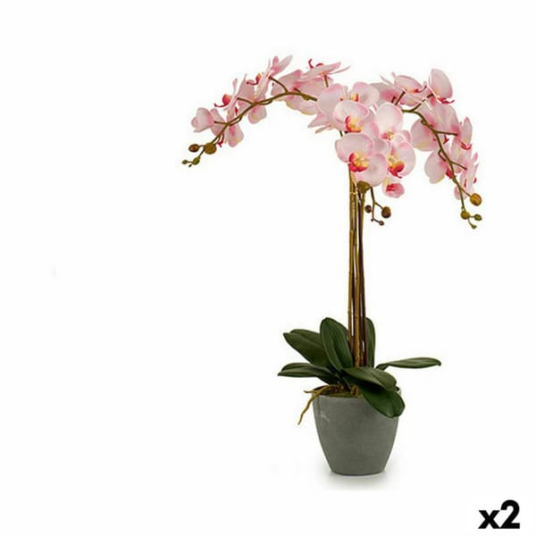 Koristekasvi Ibergarden A18124-71-3 Muovinen Orkidea 29 x 78 x 35 cm 60 x 78 x 44 cm (2 osaa)