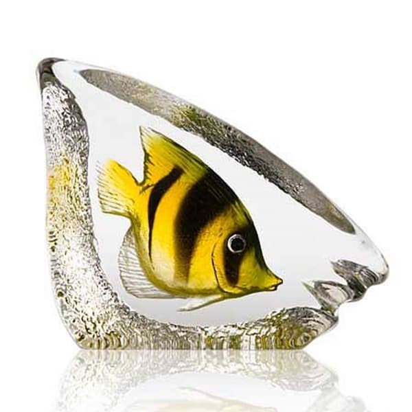 Coral Fish, Green - Målerås