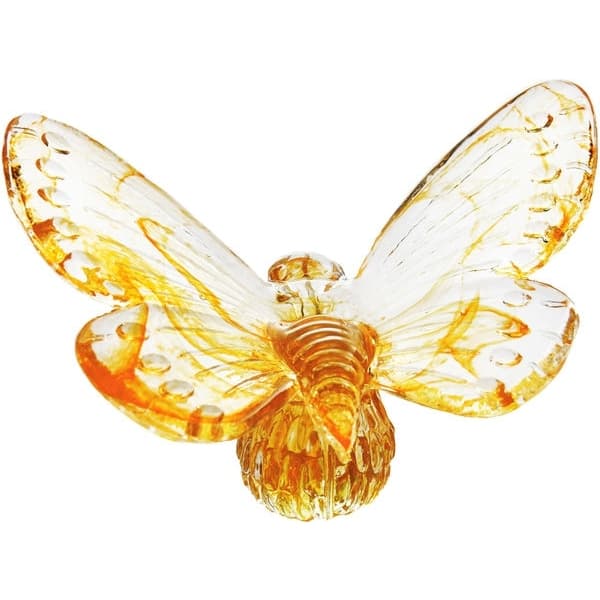 Papilio orange - Vas Vitreum