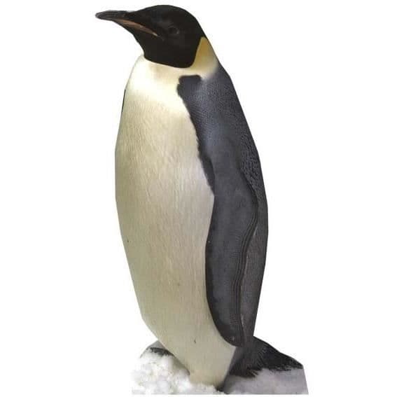 Kartongfigur i riktig storlek Pingvinen H 86 CM