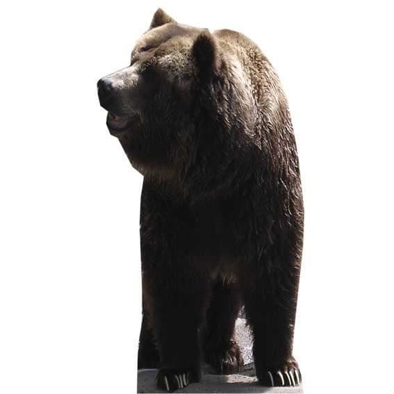 Papperfigur - Ej specificerad - Björn - H 165 cm - L 94 cm - Inomhus