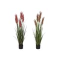 Miniatyrbillede 1 af 4: Dekorativ plante Home ESPRIT PVC Polyetylen 35 x 35 x 120 cm (2 enheder)