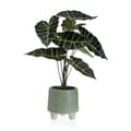 Miniatyrbillede 1 af 2: Dekorativ plante Versa Metal Keramik polystyren Plastik 30 x 46 x 34 cm