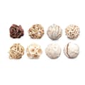 Pikkukuva 2 / 3: Set of Decorative Balls Valkoinen Ruskea (12 osaa)