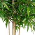 Pikkukuva 4 / 4: Puut Home ESPRIT Polyesteri Bambu 80 x 80 x 180 cm