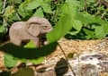 Miniatyrbild 4 av 5: Wudimals - Elefantfigur - K-PLAY